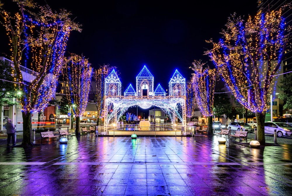 🌳 아오바 심볼 로드(아오바 신보루 로도) 이미지 8